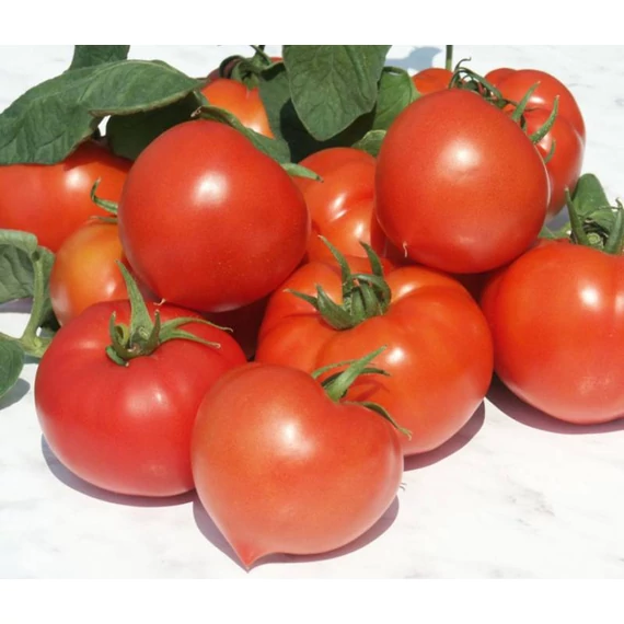 Prekos F1 Féldeterminált paradicsom 250 szem